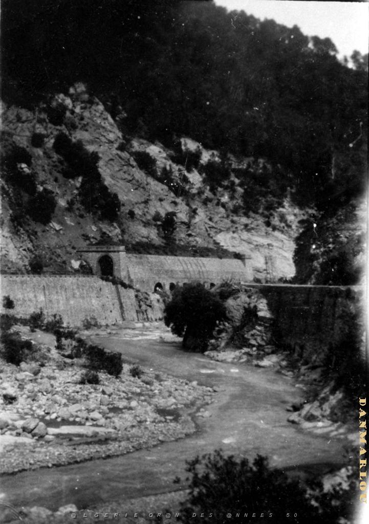 ALGERIE DE 1930 BLIDA LE RAVIN DE TAZAKA.JPG